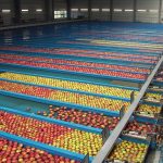 VDL Groep neemt Crux Agribotics over en versterkt positie in foodtech